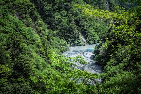 绿源环保公益短剧《地球守护者》 绿源环保公益短剧《地球守护者》 - 短剧搜搜客户案例展示